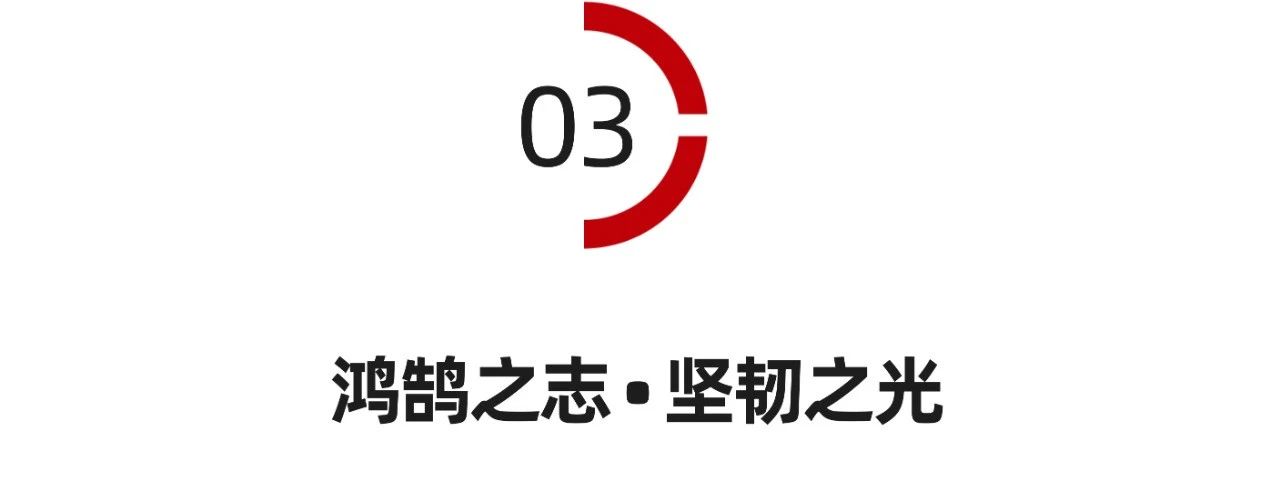 1698395984725407.jpg 5c683584d319a57f68384c2765f4b322.jpg